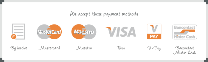 Payment methods TnP Visual Workplace